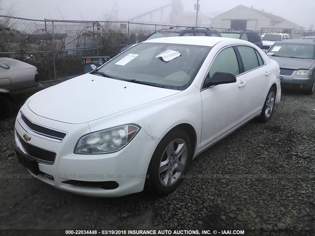 1G1ZA5EB1AF303386 - 2010 CHEVROLET MALIBU LS 白色 照片 2