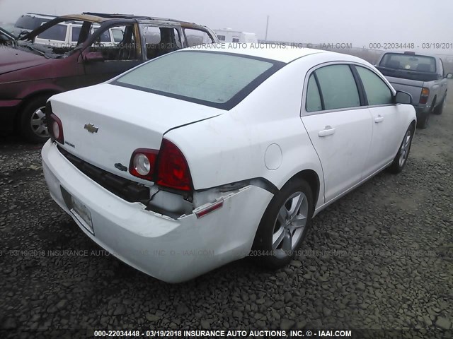 1G1ZA5EB1AF303386 - 2010 CHEVROLET MALIBU LS 白色 照片 4