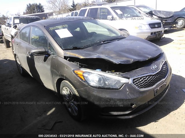 KNAFX4A66F5355604 - 2015 KIA FORTE LX GOLD photo 1