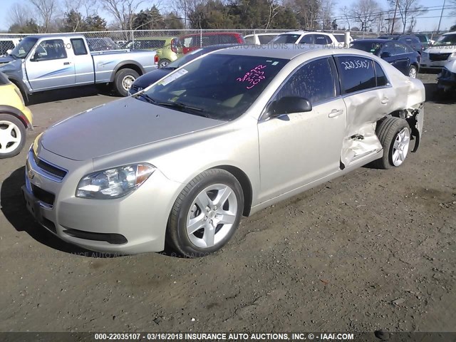 1G1ZB5EB4AF260711 - 2010 CHEVROLET MALIBU LS Şampan foto 2
