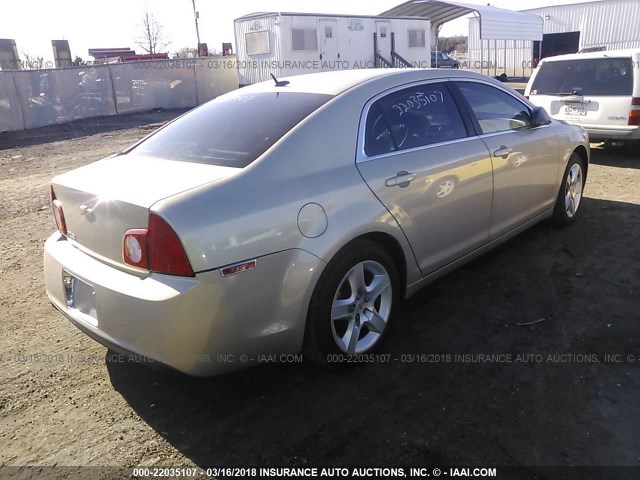 1G1ZB5EB4AF260711 - 2010 CHEVROLET MALIBU LS Şampan foto 4