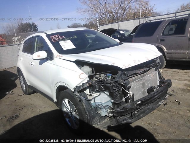 KNDPM3AC5H7064549 - 2017 KIA SPORTAGE LX WHITE photo 1