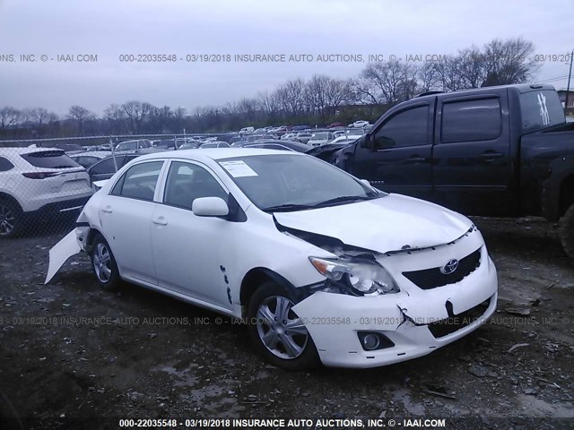 2T1BU40E69C164307 - 2009 TOYOTA COROLLA S/LE/XLE WHITE photo 1