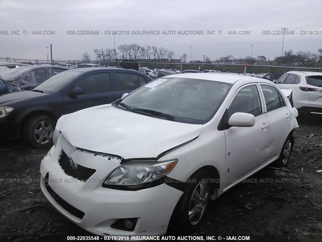 2T1BU40E69C164307 - 2009 TOYOTA COROLLA S/LE/XLE WHITE photo 2