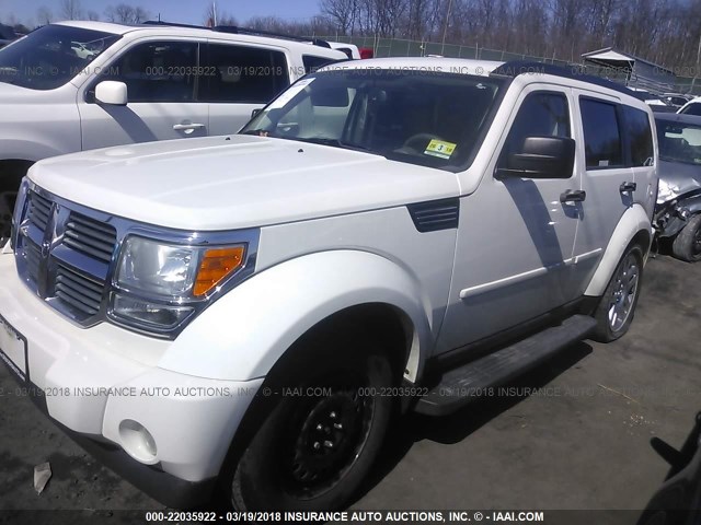 1D8GU58K68W124824 - 2008 DODGE NITRO SLT WHITE photo 2