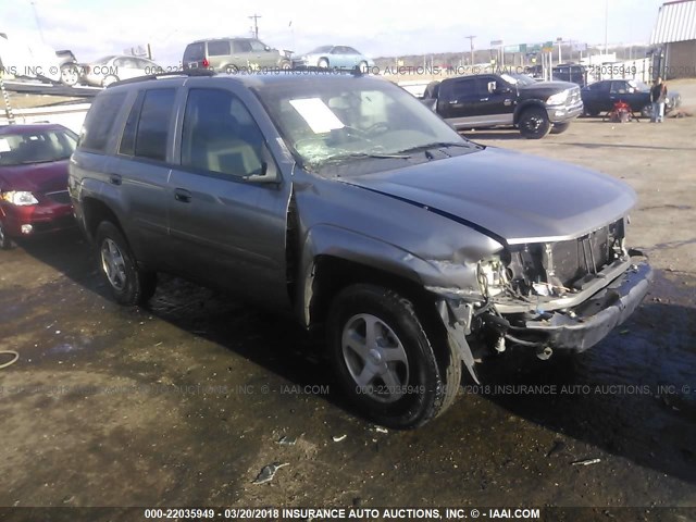 1GNDS13S862299689 - 2006 CHEVROLET TRAILBLAZER LS/LT GRAY photo 1