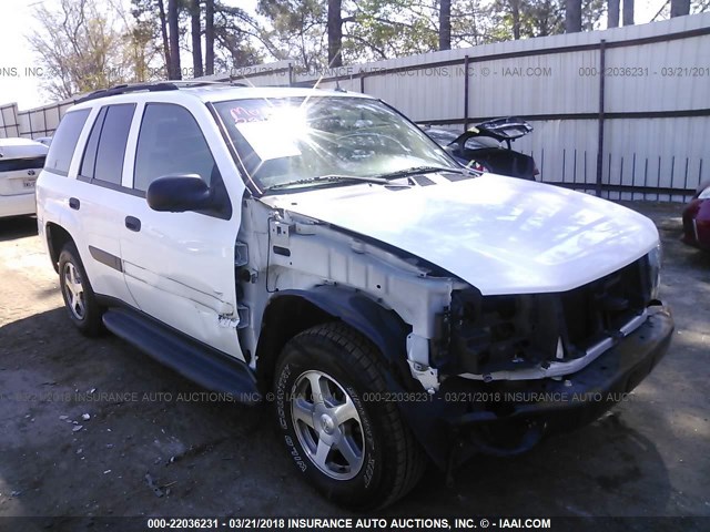 1GNDS13S652372315 - 2005 CHEVROLET TRAILBLAZER LS/LT WHITE photo 1