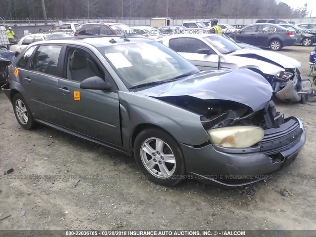 1G1ZT64864F182980 - 2004 CHEVROLET MALIBU MAXX LS 蓝色 照片 1