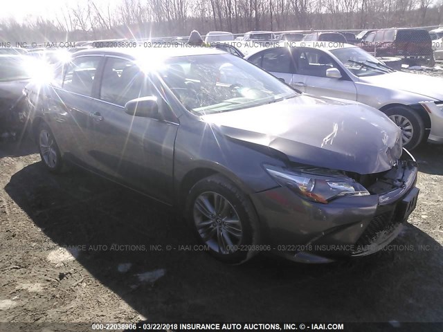 4T1BF1FK4GU576713 - 2016 TOYOTA CAMRY LE/XLE/SE/XSE Gris photo 1