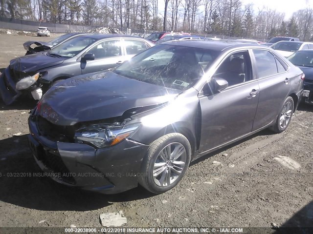 4T1BF1FK4GU576713 - 2016 TOYOTA CAMRY LE/XLE/SE/XSE Gris photo 2