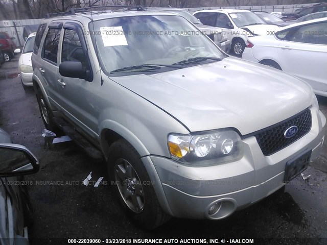 1FMYU94175KA94478 - 2005 FORD ESCAPE LIMITED GOLD photo 1