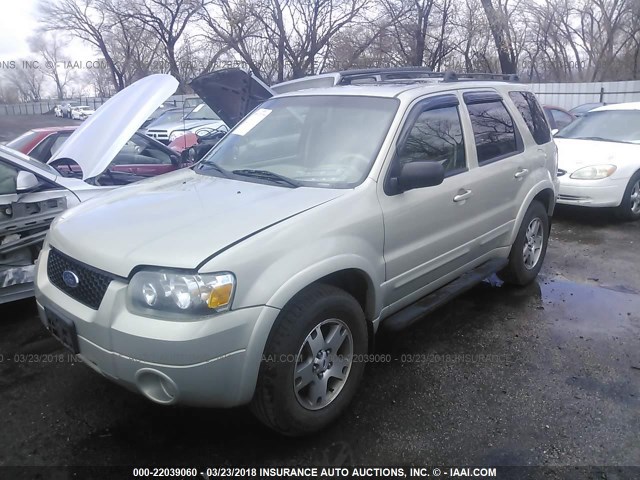 1FMYU94175KA94478 - 2005 FORD ESCAPE LIMITED GOLD photo 2