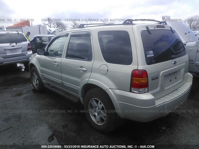 1FMYU94175KA94478 - 2005 FORD ESCAPE LIMITED GOLD photo 3