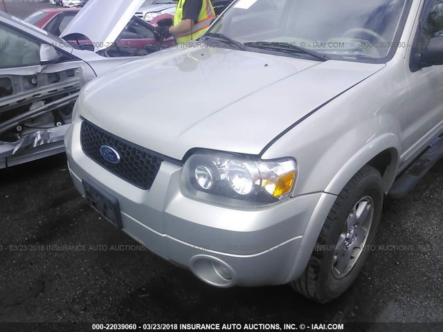 1FMYU94175KA94478 - 2005 FORD ESCAPE LIMITED GOLD photo 6