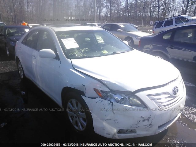 4T4BE46K39R125429 - 2009 TOYOTA CAMRY SE/LE/XLE Ақ фото 1