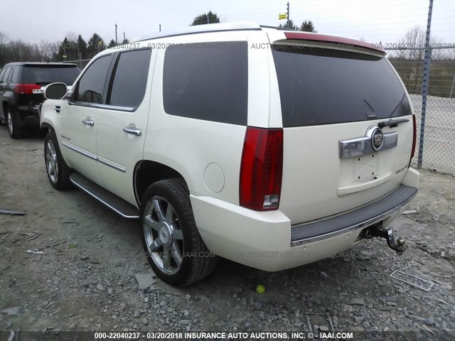 1GYFK638X8R133827 - 2008 CADILLAC ESCALADE LUXURY Bej foto 3