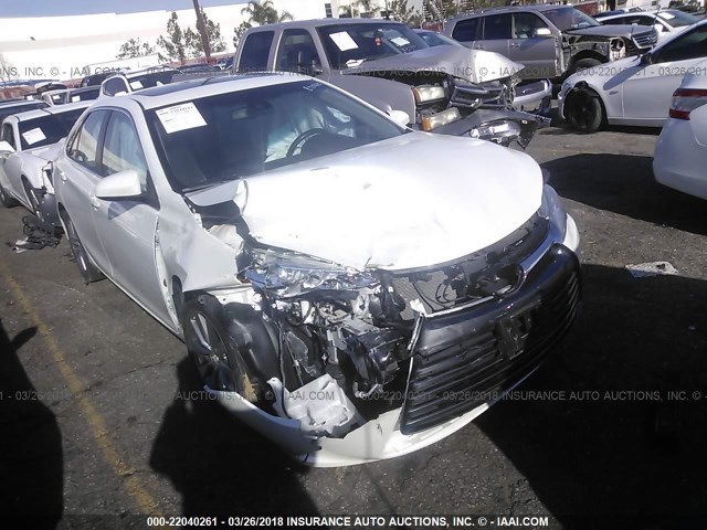 4T1BK1FK5FU554486 - 2015 TOYOTA CAMRY XSE/XLE Ağ foto 1