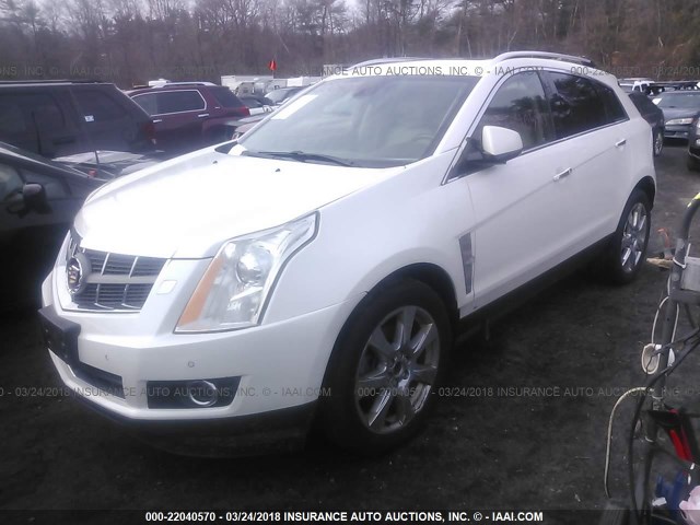 3GYFNBEY7BS626818 - 2011 CADILLAC SRX PERFORMANCE COLLECTION Ақ фото 2