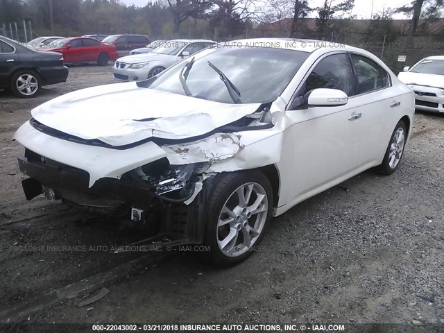 1N4AA5AP6EC491745 - 2014 NISSAN MAXIMA S/SV WHITE photo 2