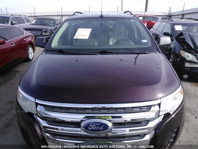 2FMDK3GC0BBA46471 - 2011 FORD EDGE SE PURPLE photo 6