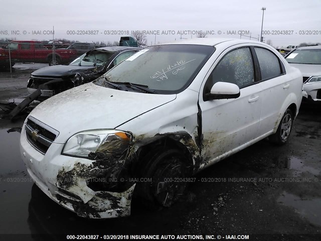 KL1TD5DE5BB233391 - 2011 CHEVROLET AVEO LS/LT WHITE photo 2