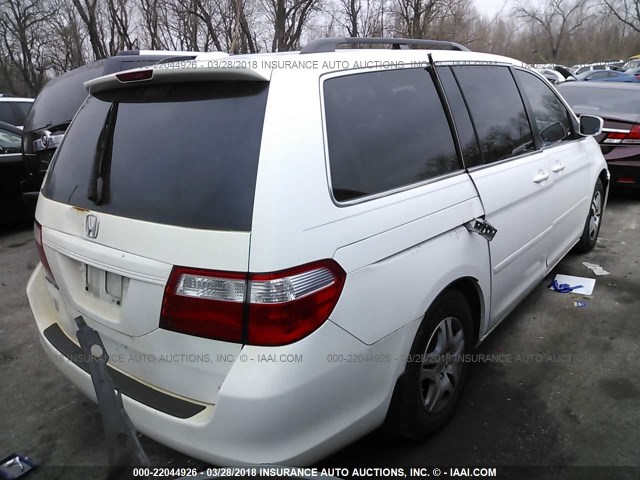 5FNRL38727B425118 - 2007 HONDA ODYSSEY EXL თეთრი ფოტო 4