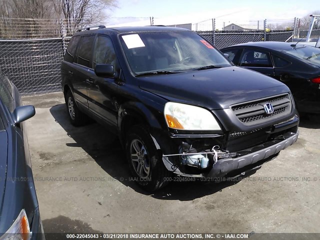 5FNYF18434B007224 - 2004 HONDA PILOT EX BLACK photo 1