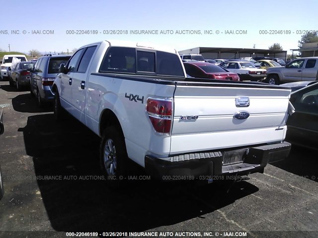 1FTFW1EF1DFB24051 - 2013 FORD F150 SUPERCREW WHITE photo 3