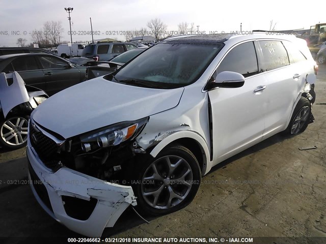 5XYPK4A11GG027333 - 2016 KIA SORENTO SX/SX LIMITED WHITE photo 2