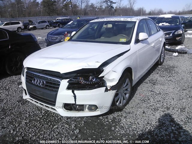 WAUSF78K89N022153 - 2009 AUDI A4 PREMIUM PLUS WHITE photo 2