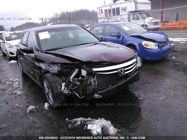 1HGCP3F8XCA029058 - 2012 HONDA ACCORD EXL BURGUNDY photo 1