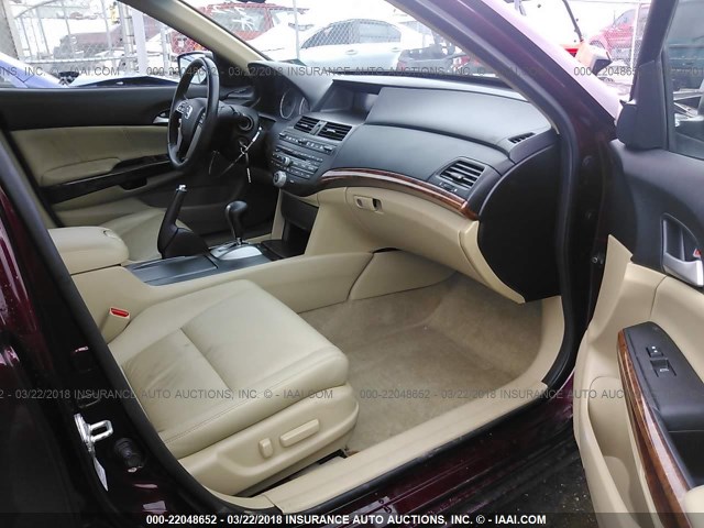 1HGCP3F8XCA029058 - 2012 HONDA ACCORD EXL BURGUNDY photo 5