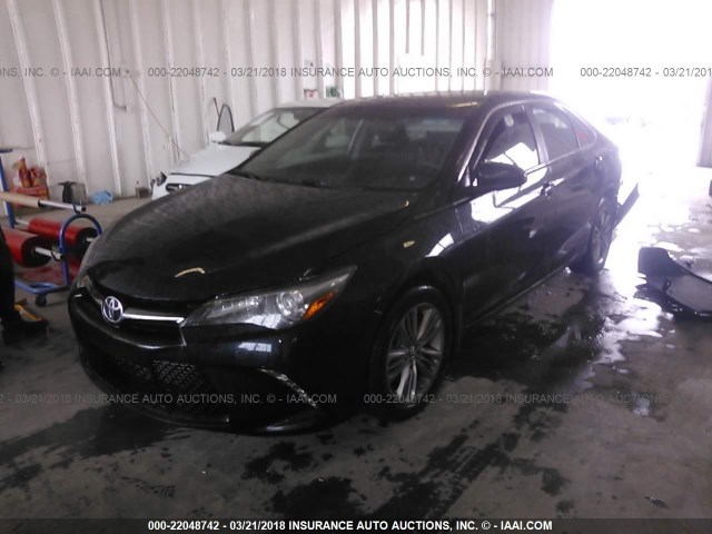 4T1BF1FK2GU220275 - 2016 TOYOTA CAMRY LE/XLE/SE/XSE Blau Foto 2