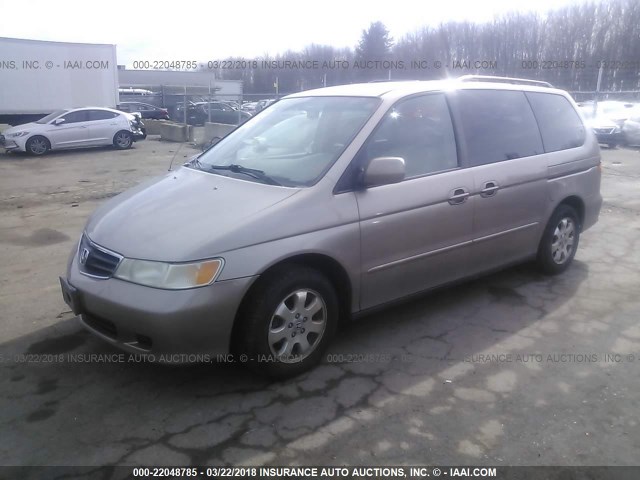 2HKRL189X4H500800 - 2004 HONDA ODYSSEY EXL TAN photo 2