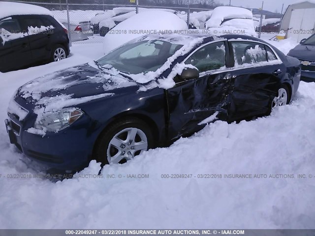 1G1ZA5EU5CF259459 - 2012 CHEVROLET MALIBU LS BLUE photo 2