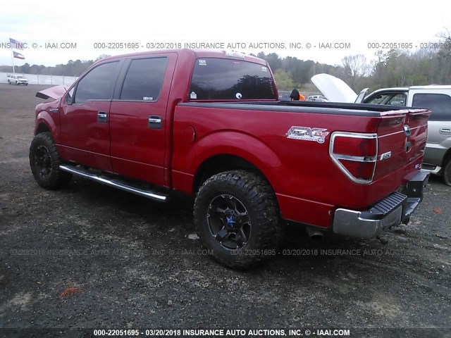 1FTFW1EV0AFD76117 - 2010 FORD F150 SUPERCREW RED photo 3
