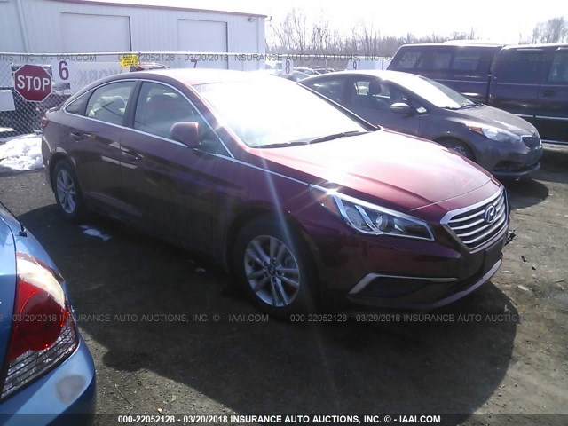 5NPE24AF7GH423455 - 2016 HYUNDAI SONATA SE RED photo 1