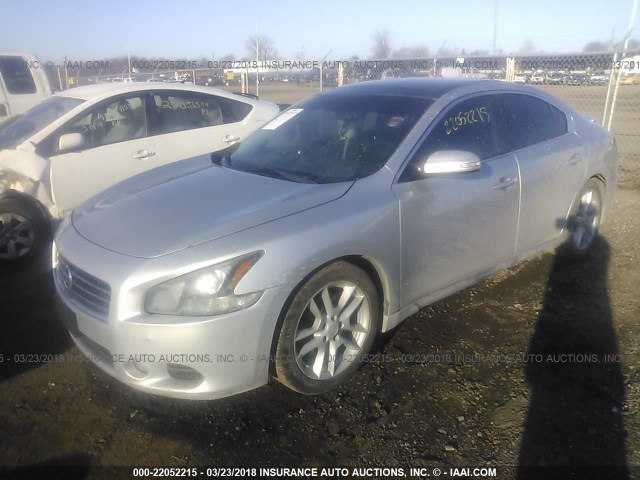 1N4AA5AP3AC847580 - 2010 NISSAN MAXIMA S/SV SILVER photo 2