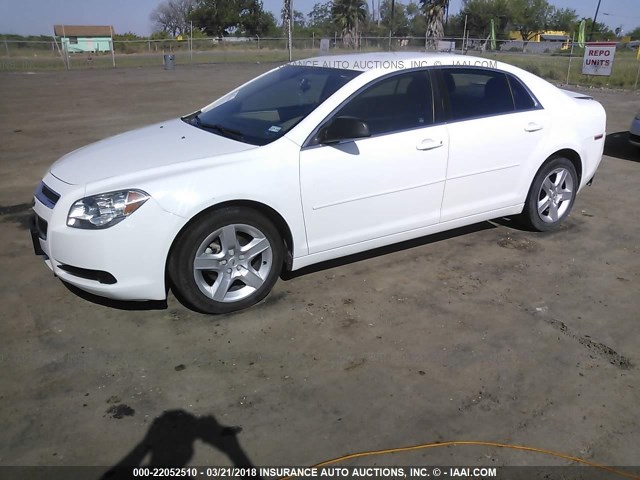1G1ZB5E12BF379222 - 2011 CHEVROLET MALIBU LS 白色 照片 2