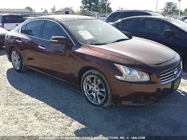 1N4AA5AP6AC864888 - 2010 NISSAN MAXIMA S/SV MAROON photo 1