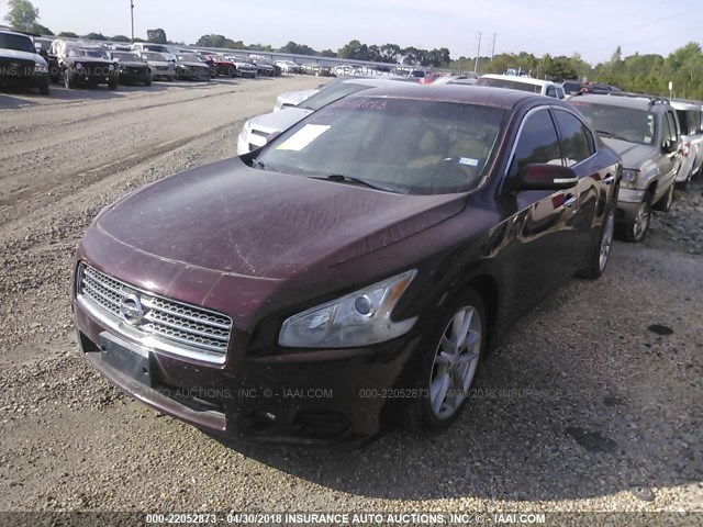 1N4AA5AP6AC864888 - 2010 NISSAN MAXIMA S/SV MAROON photo 2