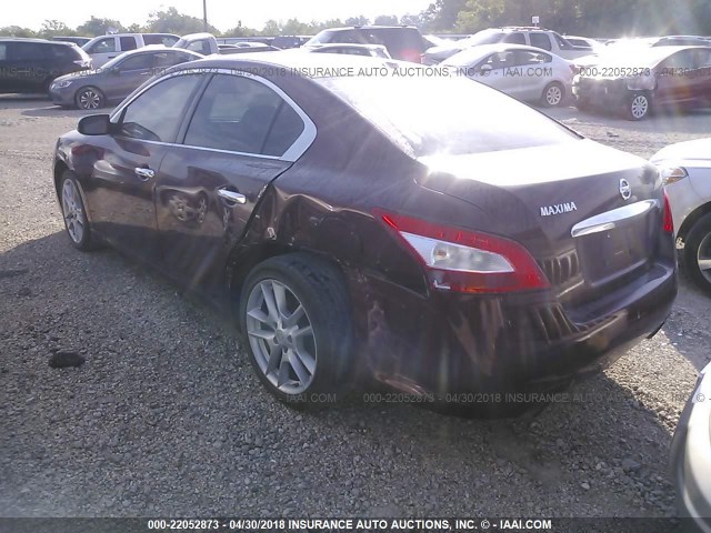 1N4AA5AP6AC864888 - 2010 NISSAN MAXIMA S/SV MAROON photo 3