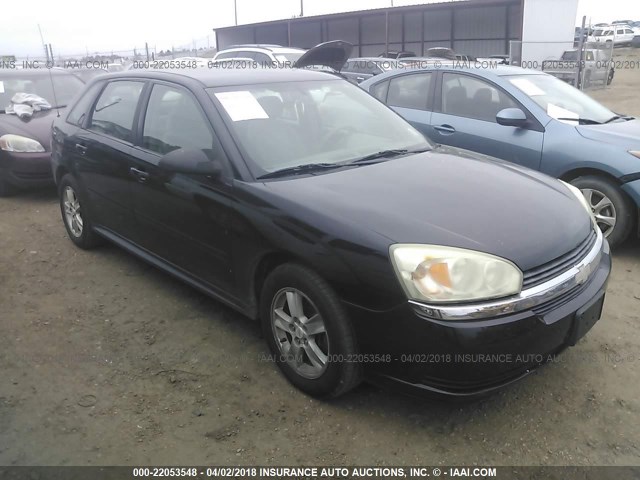 1G1ZT64834F187618 - 2004 CHEVROLET MALIBU MAXX LS BLACK photo 1