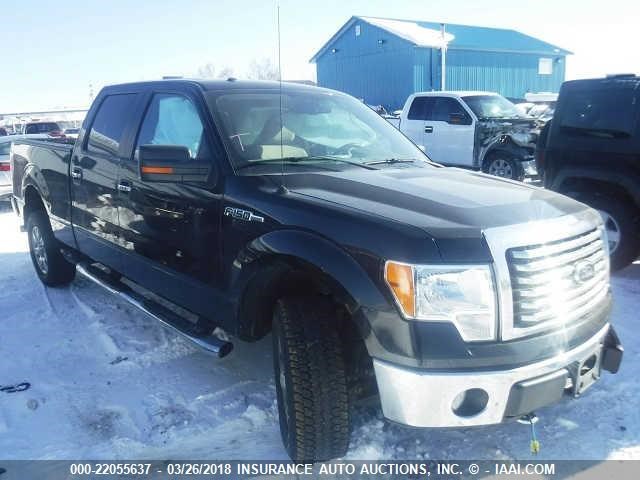 1FTFW1EV5AFD67428 - 2010 FORD F150 SUPERCREW BLACK photo 1