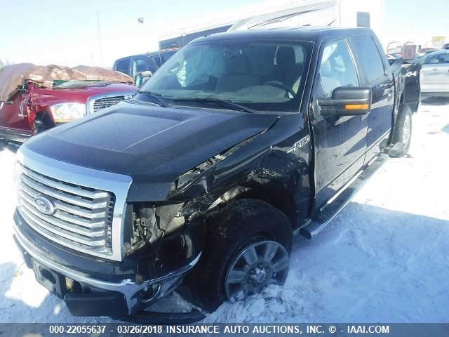 1FTFW1EV5AFD67428 - 2010 FORD F150 SUPERCREW BLACK photo 2