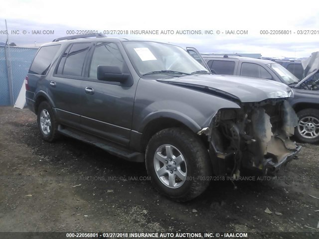 1FMJU1G54AEB61547 - 2010 FORD EXPEDITION XLT 灰色 照片 1