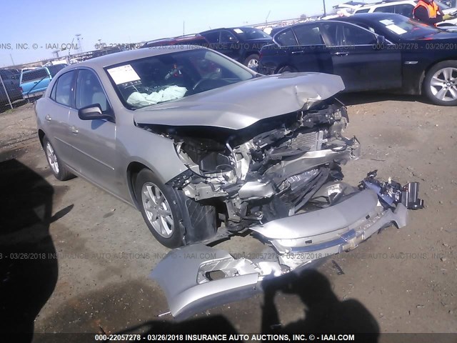 1G11A5SL4EF231700 - 2014 CHEVROLET MALIBU LS 金色 照片 1