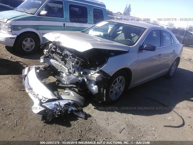 1G11A5SL4EF231700 - 2014 CHEVROLET MALIBU LS 金色 照片 2