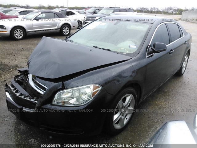 1G1ZB5EB4AF216837 - 2010 CHEVROLET MALIBU LS შავი ფოტო 2