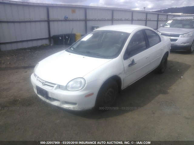 1B3ES26C82D582603 - 2002 DODGE NEON WHITE photo 2